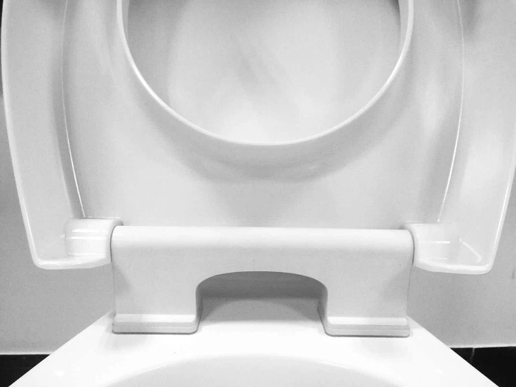 toilet lift seat for elderly toilet lift seat for elderly