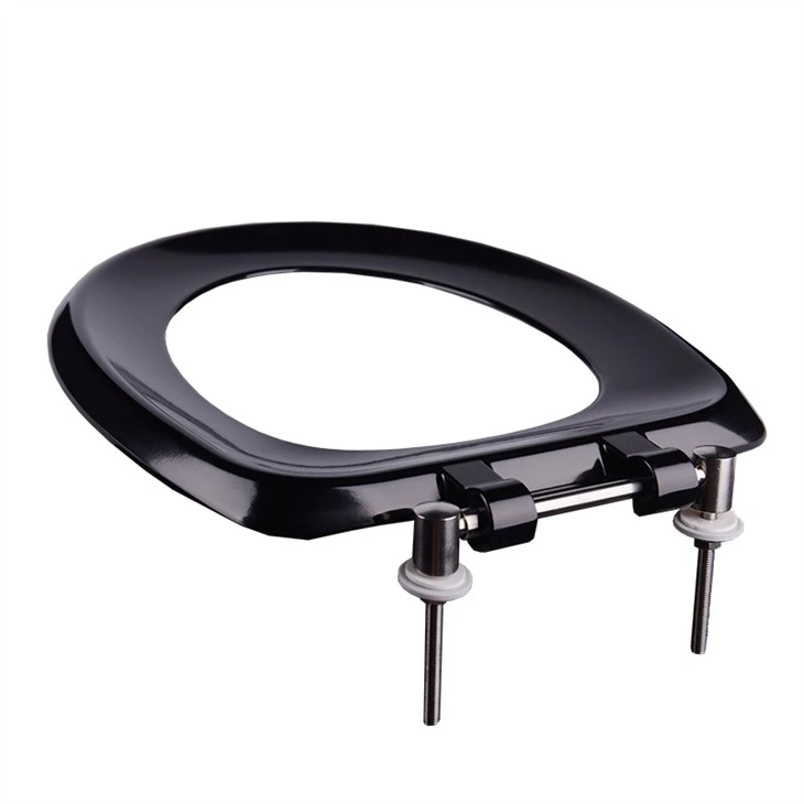 black plastic toilet seat