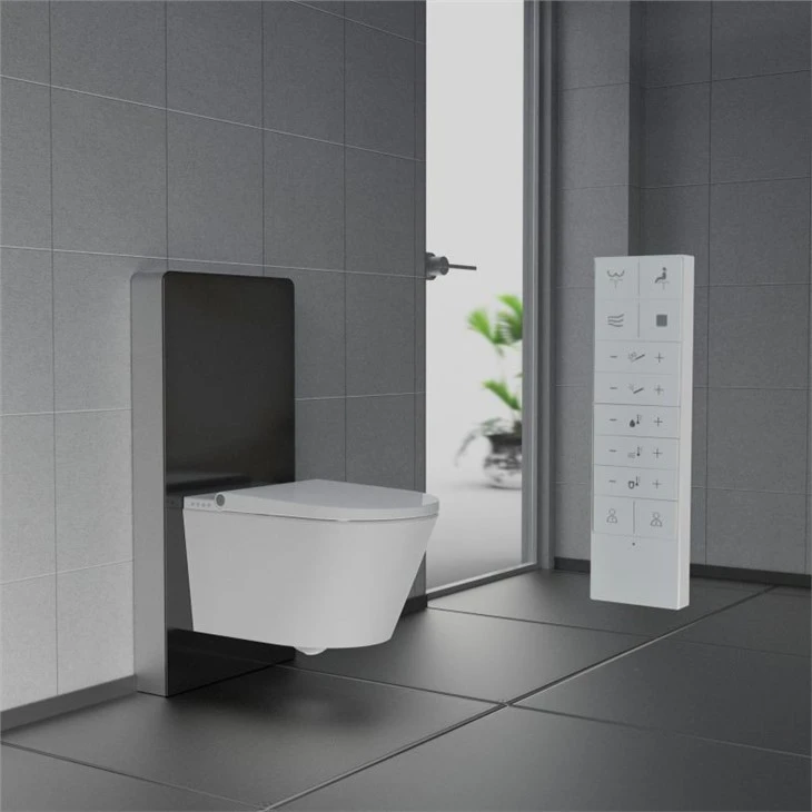 Toilet Moħbi U Ċistern