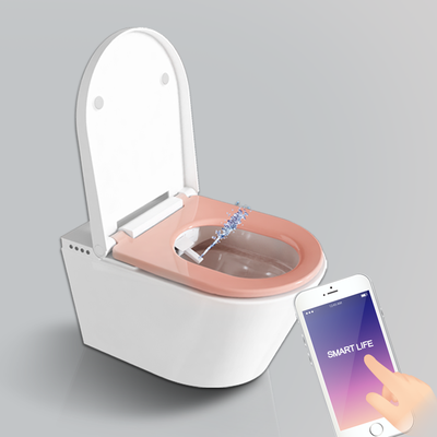 remote control toilet flush remote control toilet flush