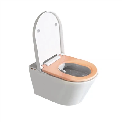 Toilet Bidet B'Ilma Saħħan U Dryer