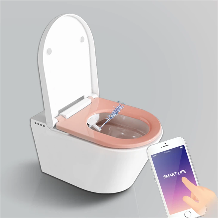 Ħajt Mdendla Toilet Bil Bidet